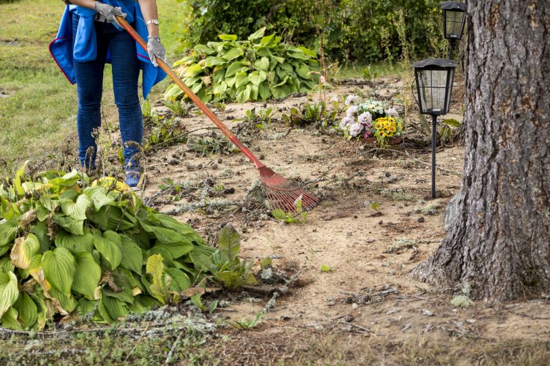 Drain Clearing Service detail