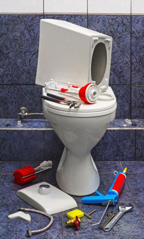 Toilet Repair - Toilet Repair Auburn, California